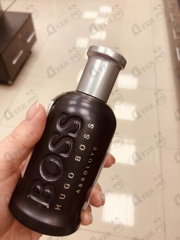 hugo boss absolute
